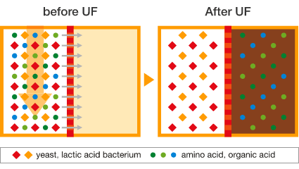 Ultra Filtration